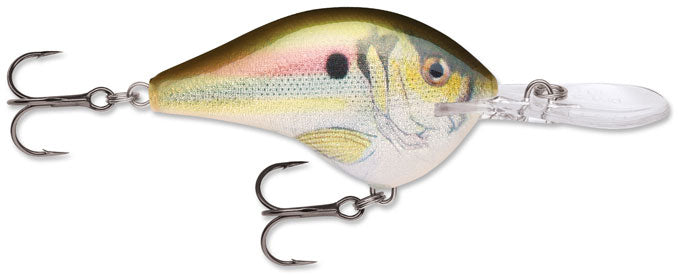 Rapala DT 10