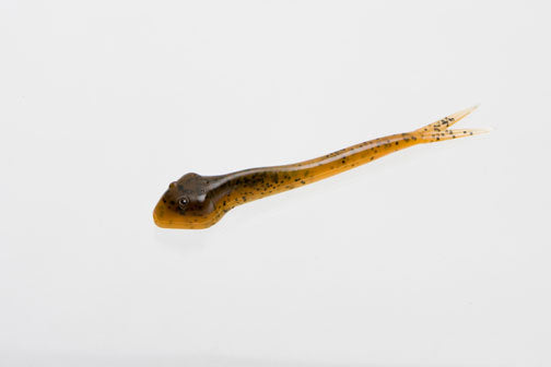 Zoom Fluke Tail Goby 4.25"