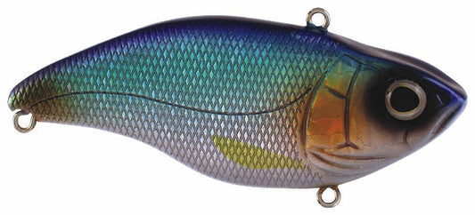REBEL Crickhopper Series F73553 Fishing Lure, Crankbait, Bass, Gamefish,  Trout, Sunburst Lure D&B Supply
